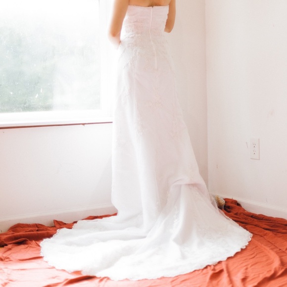 David’s Bridal Michael Angelo Dress - Picture 3 of 13